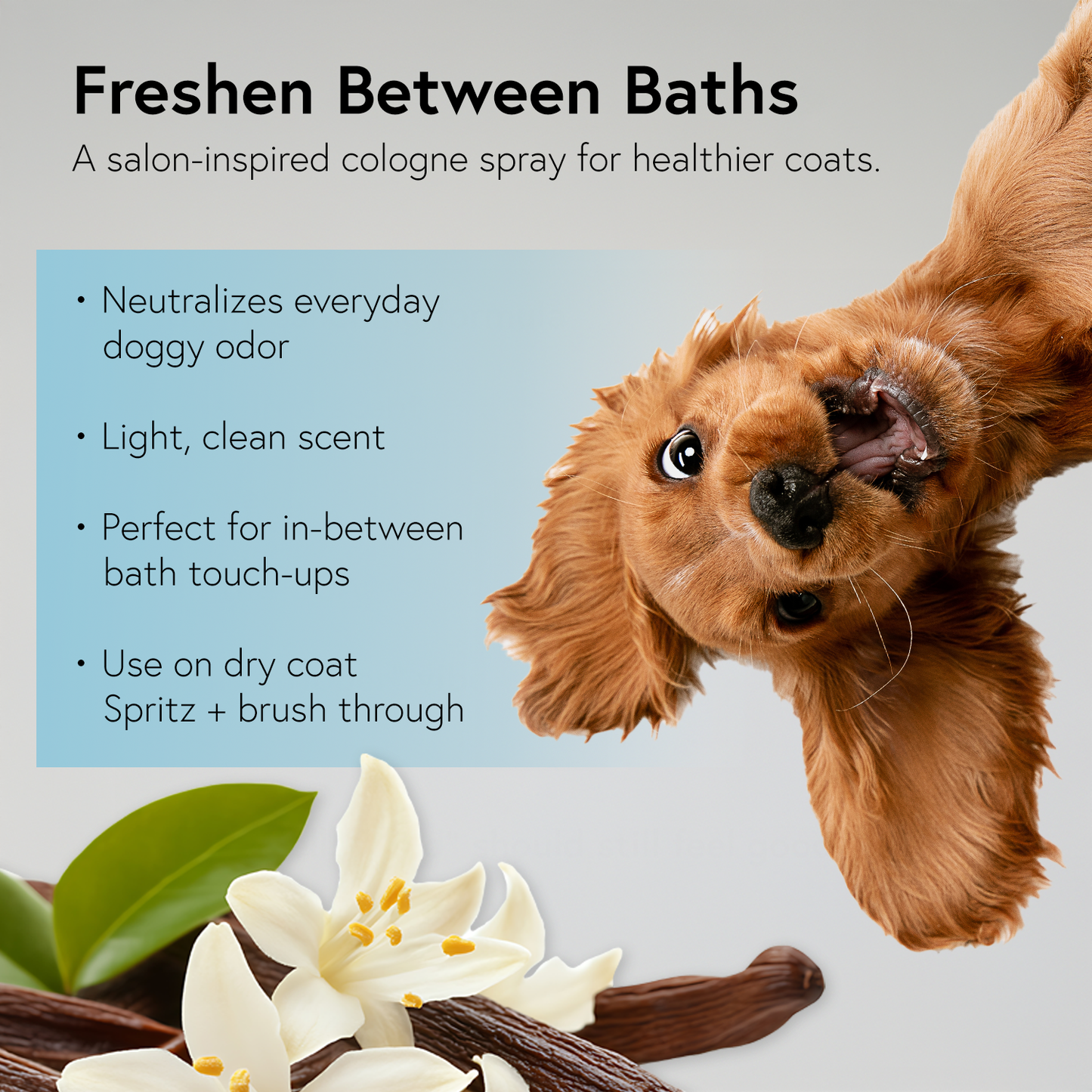 Cologio Dog Cologne Spray