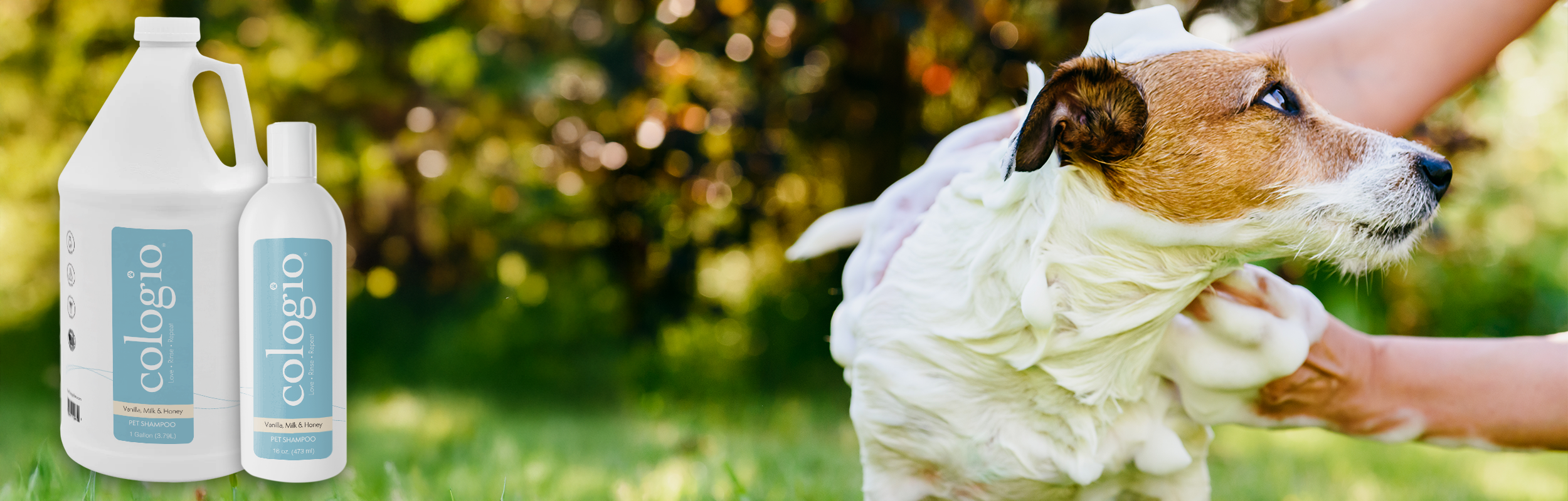 Cologis pet care products with a dog being groomed outdoors